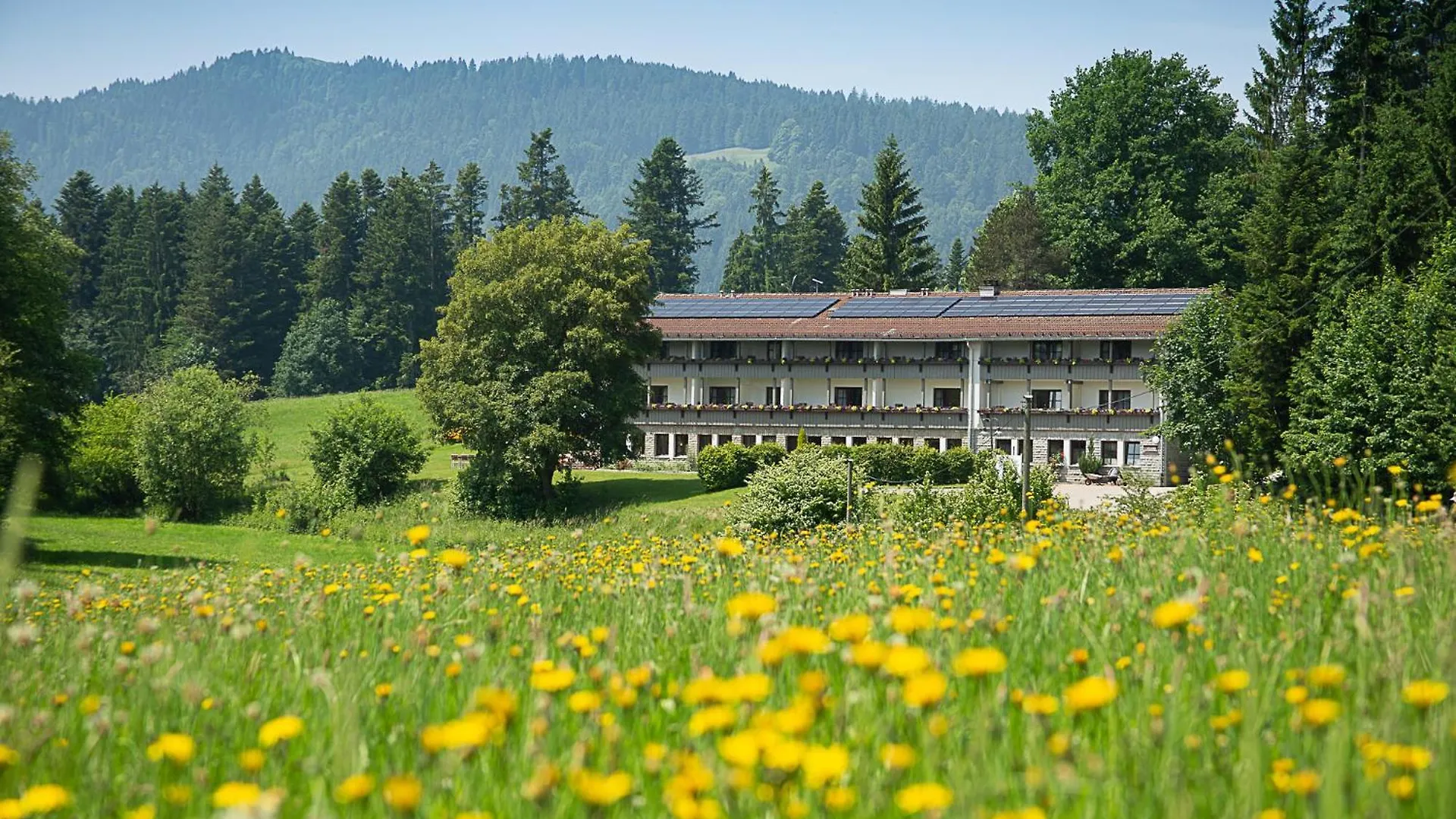 Oda ve Kahvaltı Berger'S Bergsicht By Edita Scheidegg